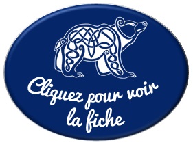 Ouvrir la fiche Fete des Lumieres a Lyon - Sortie Thematique