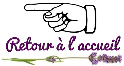 Retour à la page d'accueil